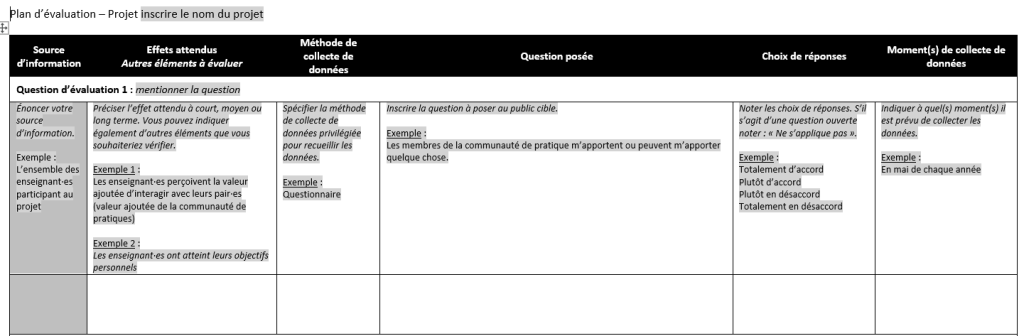 Gabarit du plan d’évaluation utilisé par Audrey Girard et Isabelle Tremblay
